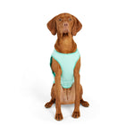 GF Pet Elasto-Fit® Ice Vest® Dog Cooling Vest