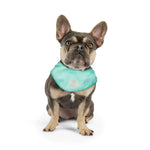 GF Pet Ice Band® - Dog Cooling Bandana