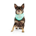 GF Pet Ice Band® - Dog Cooling Bandana