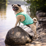 GF Pet Elasto-Fit® Ice Vest® Dog Cooling Vest