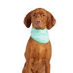 GF Pet Ice Band® - Dog Cooling Bandana