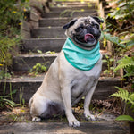 GF Pet Ice Band® - Dog Cooling Bandana