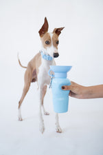 Springland 22 oz Dog Travel Water Bottle Random Color