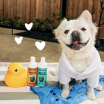 Earthbath® Oatmeal & Aloe Pet Shampoo - Vanilla Almond, 16 oz