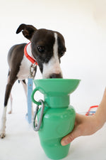 Springland 22 oz Dog Travel Water Bottle Random Color