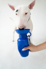 Springland 22 oz Dog Travel Water Bottle Random Color