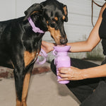 Springland 22 oz Dog Travel Water Bottle Random Color