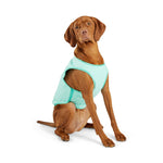GF Pet Elasto-Fit® Ice Vest® Dog Cooling Vest