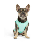 GF Pet Elasto-Fit® Ice Vest® Dog Cooling Vest