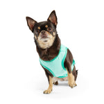 GF Pet Elasto-Fit® Ice Vest® Dog Cooling Vest
