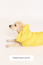 Maxbone Talon Water-Repellent Dog Raincoat