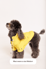 Maxbone Talon Water-Repellent Dog Raincoat