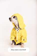 Maxbone Talon Water-Repellent Dog Raincoat